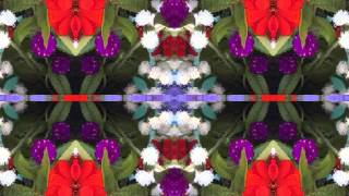 thru the morning, thru the night (Plant &amp; Krauss live in Maryland 2008)