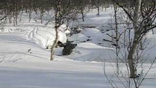 preview picture of video 'Tarradalen mars 2009'