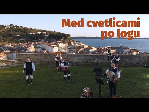 Modrijani in Mike Orešar - Med cvetlicami po logu (V ŽIVO)
