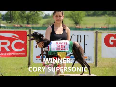 WHIPPET MAGYAR DERBY FINAL 27/05/18