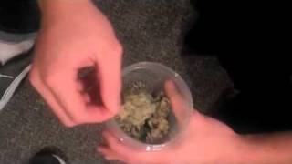Buying Cannabis choosing sticky, frosty, dank buds in the studio on HashbarTV