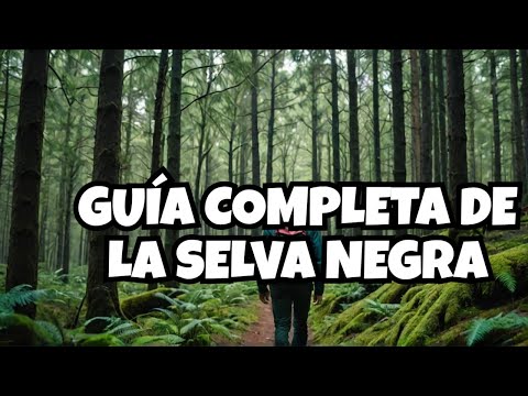 ¡Descubre la SELVA NEGRA! Guía de 7 días
