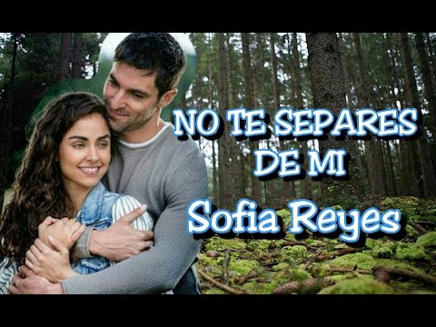 No Te Separes De Mi - Sofia Reyes (SinTuMirada)(Lyric Video)
