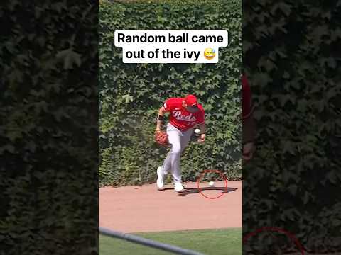 How long has that ball been stuck there? 😭