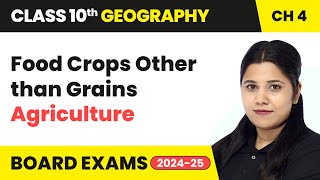 Food Crops Other than Grains - Agriculture | Class 10 Geography Chapter 4 | CBSE 2024-25