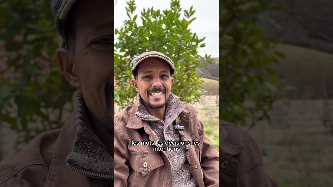 La fin de l'écovillage de Pourgues 2/3 — La fracture