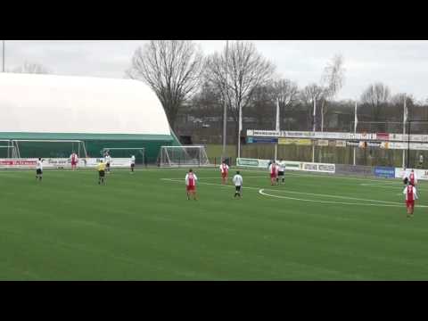 Samenvatting Berkum-HZVV