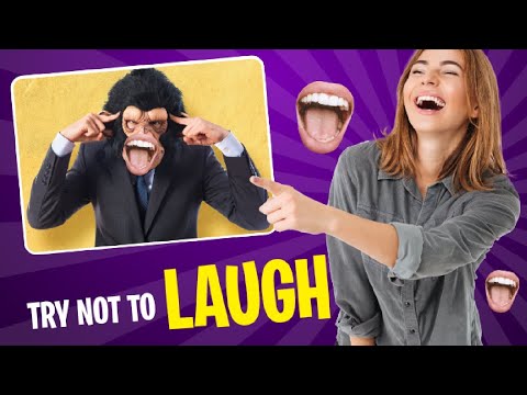 Funny cats and dogs moment | Try not to laugh impossible | Zunairah moazzam