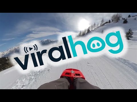 Racing Down a Snow Covered Swiss Mountain on a Toboggan