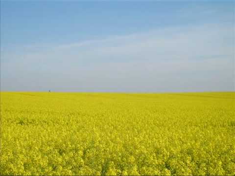 dike - slavonac sam ja