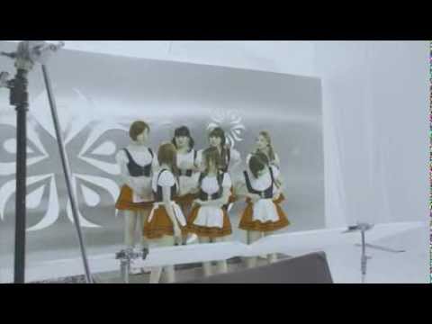 T-ara background video on WildRoses#1