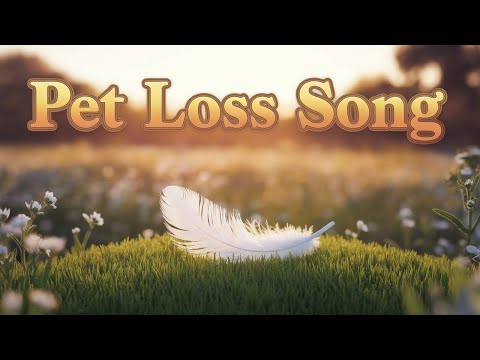 A Message From The Rainbow Bridge’ 🌈 | A Song for Healing After Pet Loss 🐾💔