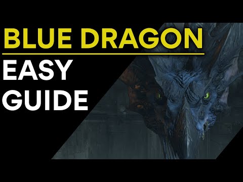 Demon's Souls: Blue Dragon Easy Guide