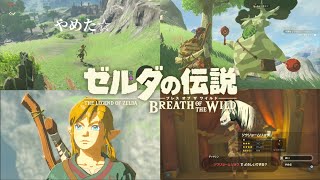 【ブレワイ】オープンワールドアンチ＆古参ゼル伝プレイヤー【Part1】