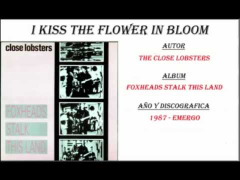The Close Lobsters - I Kiss The Flower In Bloom (1987)