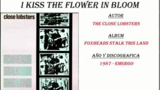 The Close Lobsters - I Kiss The Flower In Bloom (1987)