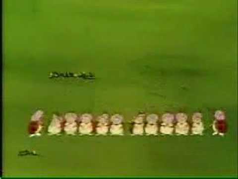 Ladybug Math Early Math Counts