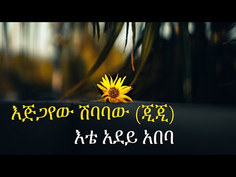 Egigayew Shibabaw(Gigi) - Ete Adey Ababa with lyrics (እቴ አደይ አባባ)