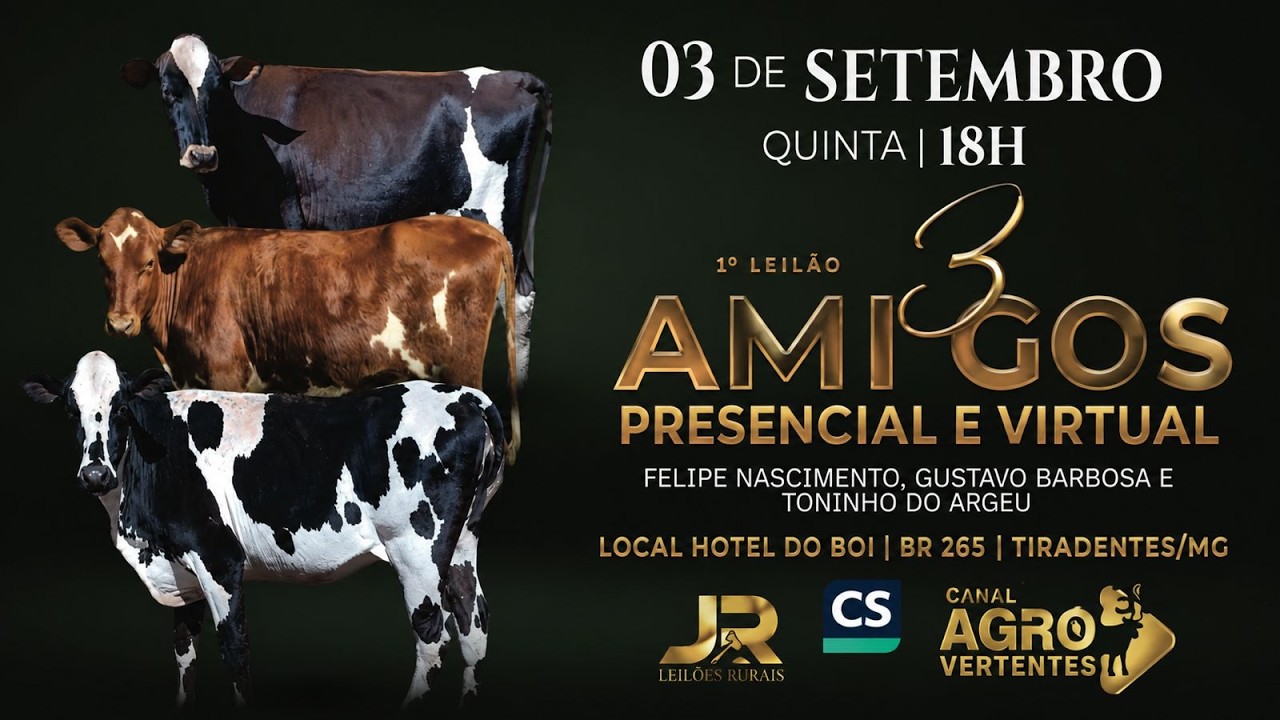 1º LEILÃO PRESENCIAL E VIRTUAL 3 AMIGOS  - SÃO JOÃO DEL REI - TIRADENTES/MG - 03/09/2026
