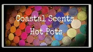 Best of COASTAL SCENTS Hot Pots (Swatches) | My Favorite Eyeshadows