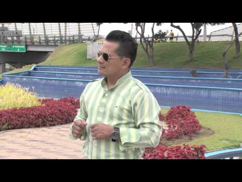 EL DAN DAN - NUNCA VALORASTE(tema original) ROCKOLA un sentimiento más