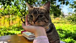 Download lagu DJ TIKTOK🌊 (CHYBEEMEW) RAMADHAN SAHABAT SEJATI MARWAN PAPUTUNGAN REMIX! mp3 Download lagu DJ TIKTOK🌊 (CHYBEEMEW) RAMADHAN SAHABAT SEJATI MARWAN PAPUTUNGAN REMIX! mp3