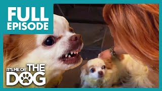 Thumbnail del capítulo