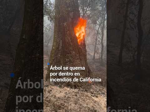 Bomberos en California combaten fuga química en California