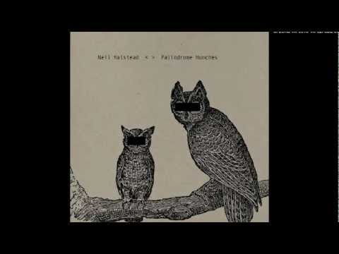 Spin the Bottle - Neil Halstead