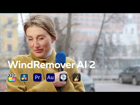 Introducing WindRemover AI 2