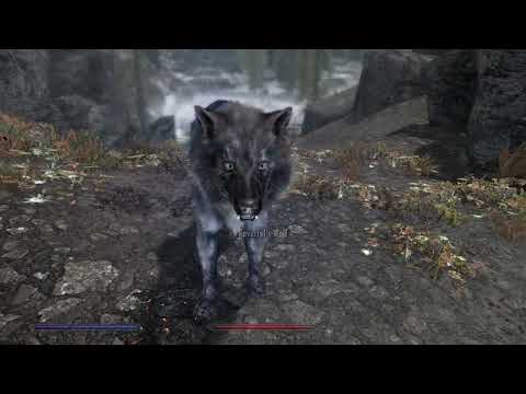 "Anyone Cast Magelight On Your Reanimated Corpse To Turn Them Into A Portable Lanter....??"