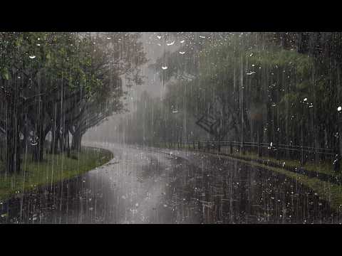 Relaxing Rain for Deep Sleep ⚡ Goodbye Insomnia with Heavy Rain and Thunder on the Roof