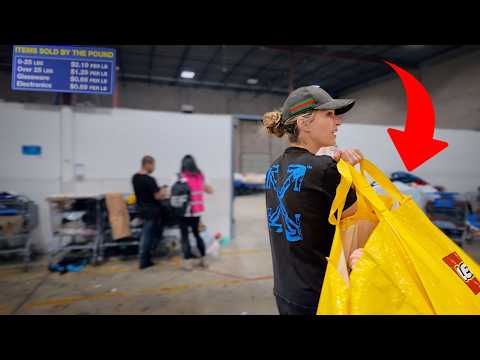 My Brutal Hunt for $1,000 at the Goodwill BINS