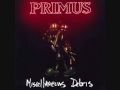 Primus - Intruder 