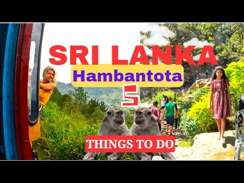 Traveling Sri Lanka Top 5 Things to Do in Hambantota Amazing Travel Guide For Beginners Vlog