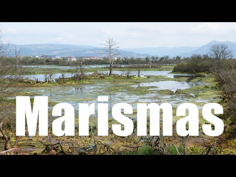Las Marismas de Santona, Cantabria, Spain - 4K UHD - Virtual Trip