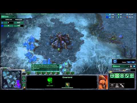 HDWT Third Place: Sen v Socke g1