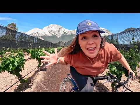 Pedalando Entre Vinhedos em Mendoza Experiência Real em Maipu