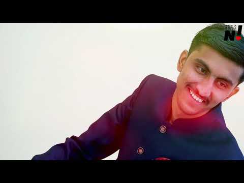 Wedding Highlights Dhruvil❤️Hitiksha Maruti Digital