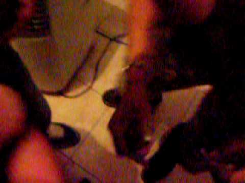 D-BON ILLEGAL SOUND luglio '09 YO!