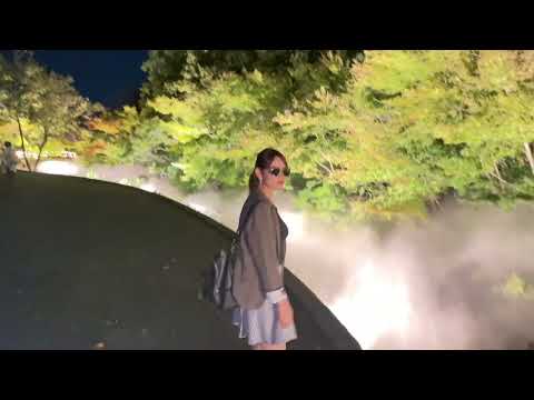 #illumination and the flower japan 🇯🇵Srijana kc vlogs 🤗