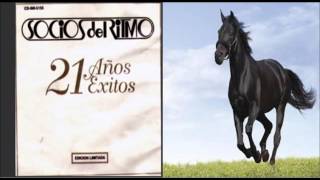 Caballo Negro   Los Socios del Ritmo