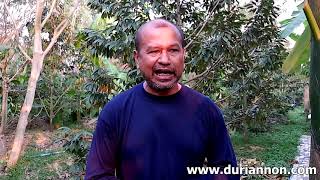 ปลูกทุเรียนปี 2562 ต้องรู้อะไรบ้าง? ปลูกทุเรียนปี 2562 ต้องรู้อะไรบ้าง?