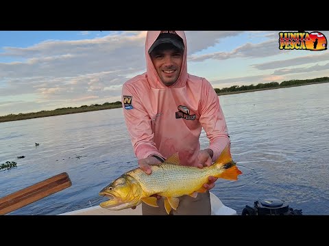 Tarde de pesca de dorados, palometa y reccoriendo isla en PUERTO ARAGÓN (Barrancas - Santa Fe)