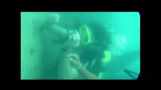 preview picture of video 'Um mergulho em Maracajaú - RN'