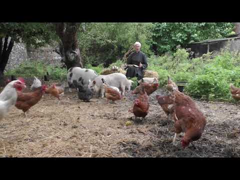 Morning Prayer – Saturday, 3rd October 2020