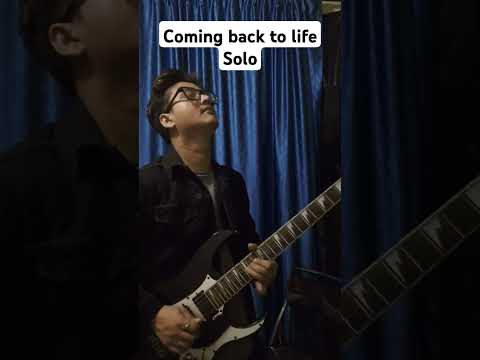 pink Floyd - coming back to life(guitar solo cover).  #comingbacktolife #pinkfloyd #davidgilmour.