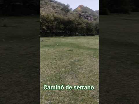 #folclore #nogoli #losremansos #sanluis