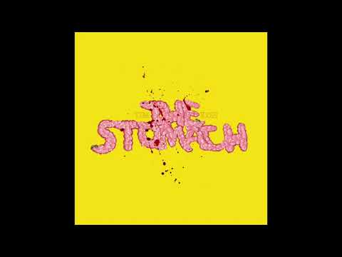 TIMKOH - The Stomach (Official Audio)