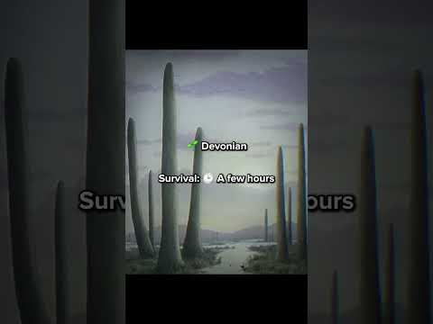 Would you survive here? 💀